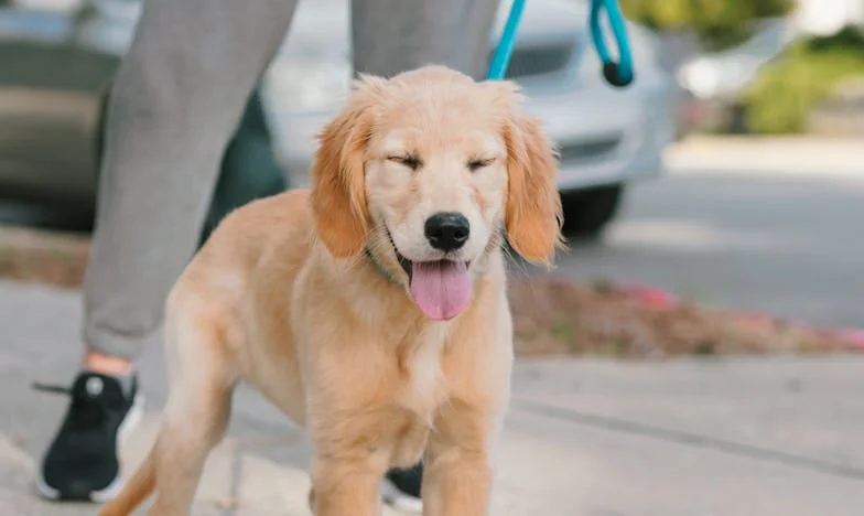 Miałam krew na dłoniach, a on ciągnął mnie po schodach — i wciąż nie wiedziałam, czy zdążymy