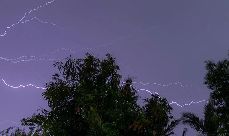 Między krwią a sercem: Moja walka o własne życie i miłość