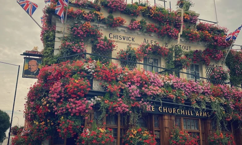 Moja noc poślubna była początkiem końca – i mojej wolności. Historia, której nigdy nie zapomnę