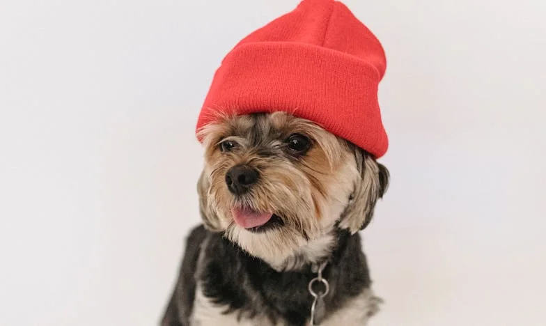 Niebo nad blokiem w Łodzi, pies na smyczy i krew na śniegu — a potem już nic nie było takie samo