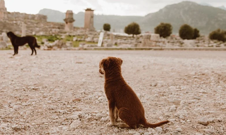 Nigdy nie byłam prawdziwą babcią — a teraz pytają, czy to moja wina?