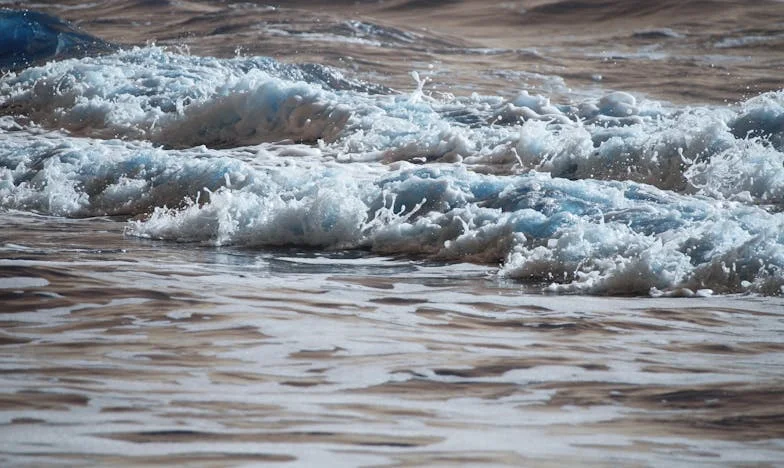 „Oddaj mieszkanie bratu, przecież jesteście rodziną!” – a potem mój pies pociągnął mnie w stronę policyjnych świateł
