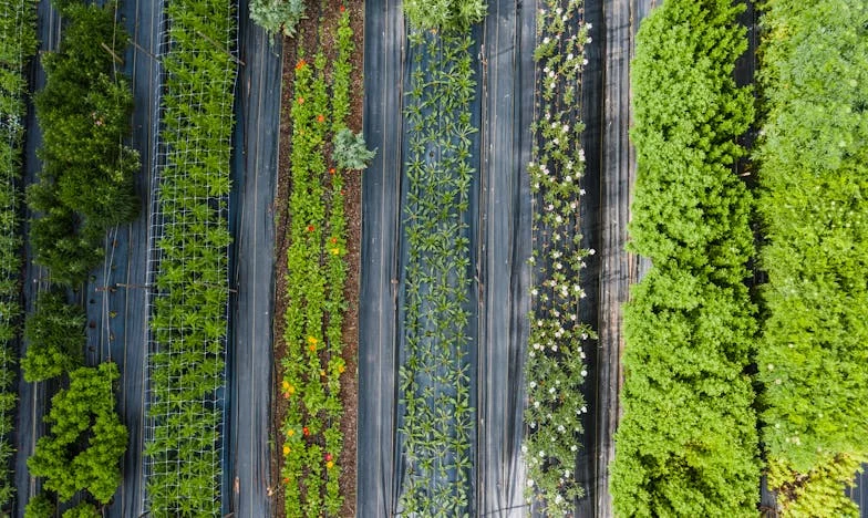 Sekrety, które zrujnowały rodzinę