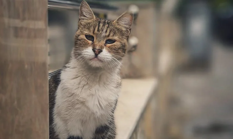 „To wy powinniście rozpieszczać moje dzieci” – polska rodzinna drama oczami szwagierki