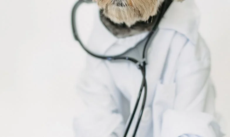 W mrozie na klatce schodowej mój pies rozciął łapę, a ja zrozumiałem, że jeśli teraz odpuszczę, to znikniemy oboje