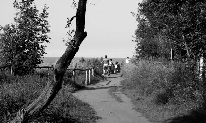 Dom pełen tajemnic: Historia polskiej wdowy i trójki małych dzieci