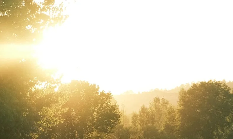 Moja teściowa żąda, by jej syn z nami zamieszkał – i wszystko się zmienia