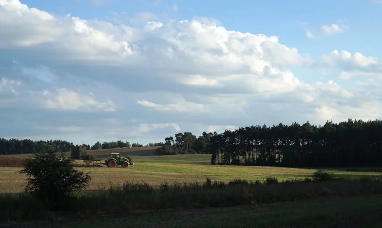 Niefortunne Zabiegi: Historia Klęski i Przebaczenia
