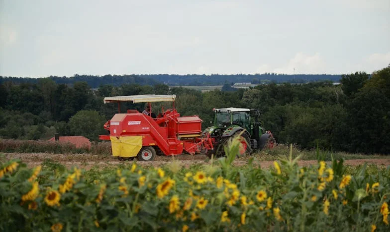 Nieoczekiwana propozycja od nieznajomego: Opowieść o żalu i lekcjach życia