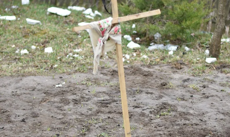 Między miłością a strachem: Mój dom, moje bezpieczeństwo