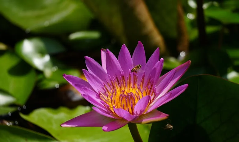 A horizonton túl: Egy falusi fiú harca a városi lány szívéért – és a családjáért