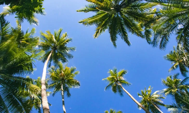 Anyám intő szavai: "Soha ne engedj be egyedülálló barátnőt a házadba" – Egy anya magányának története