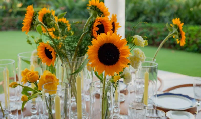 Anyósom titka: Megtartsam a kapcsolatot a családdal, ha fájdalmat okoznak?