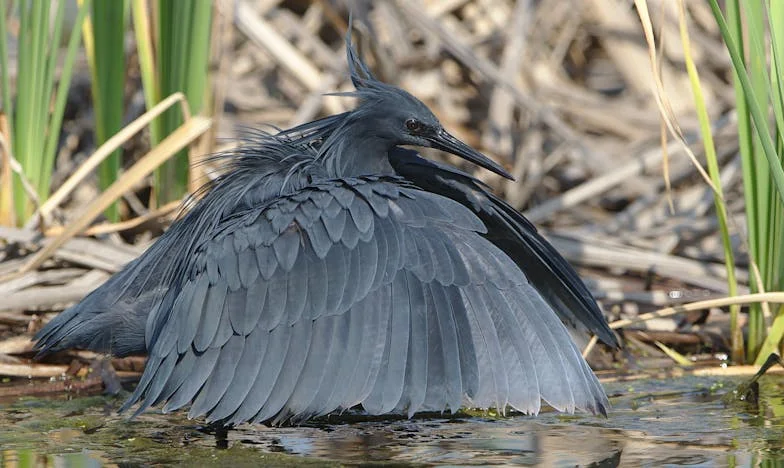Az a hét, ami mindent megváltoztatott – Egy anya döntése a fia jövőjéért