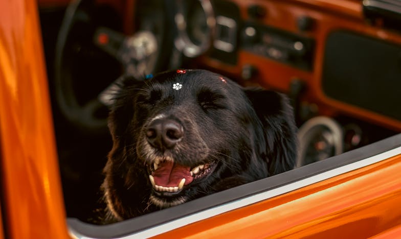 Az örökség ára: Egy budapesti lakás és a családi kötelékek próbája