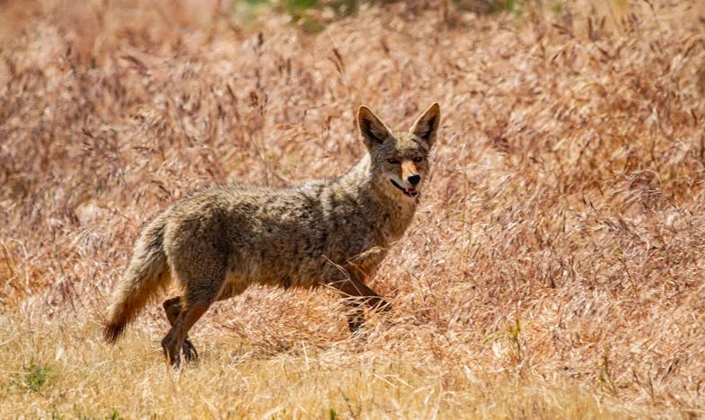 Az örökség árnyékában: Egy család széthullása a szülői döntés miatt