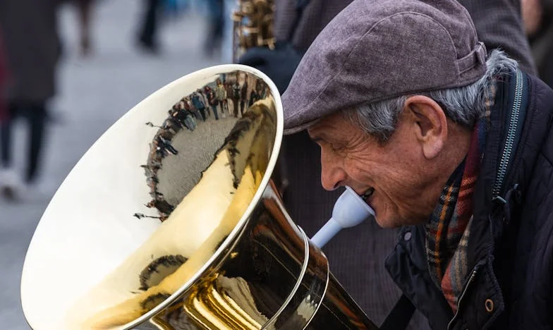 Bosszú a Zsolnai utcában: Egy meny története