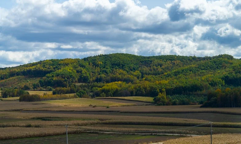 Egy születésnap, ami mindent megváltoztatott – Amikor az anyósom nálam akart ünnepelni