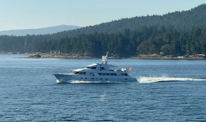 Egyedül a karácsonyfa alatt – Amália és a szomszédasszony története