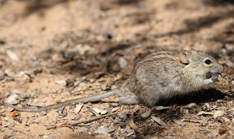 Elajándékozott földem: Egy családi szakadás története