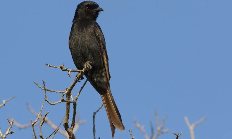 Háromszoros meglepetés: Egy kórházi út, három új élet