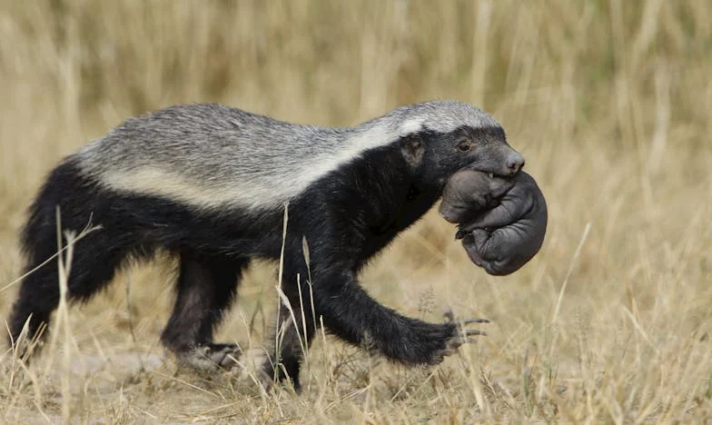 Két év csend: Amikor a lányom elfordult tőlem