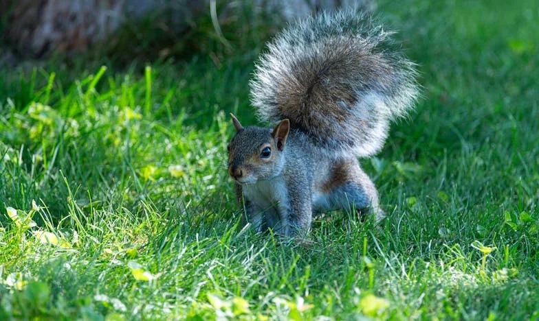 „Nem akarom, hogy a vejem újra beköltözzön” – Egy anya vallomása a családi határokról