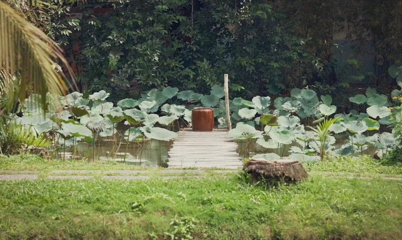 A Férjem, a Fösvény: Egy Válás Álomképe