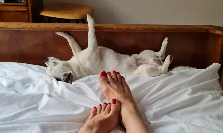 „A férjem sírt, amikor elmondtam, hogy a gyerek talán nem az övé – én csak annyit feleltem: legalább nem a tiéd” – Egy magyar család széthullása belülről