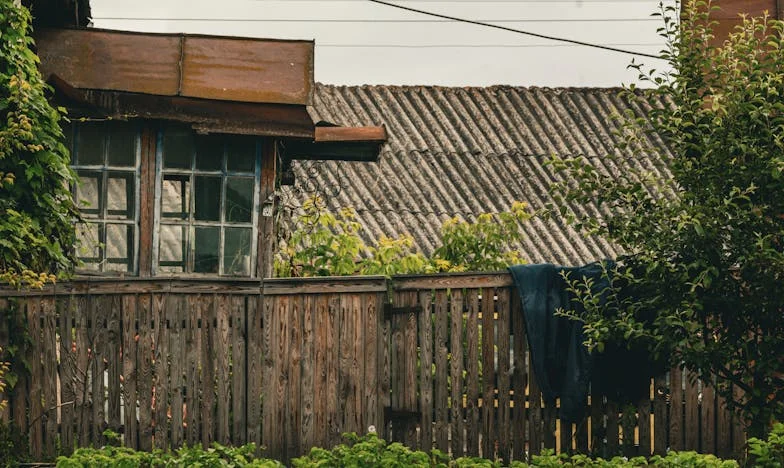 Amikor a dolgok elkezdtek eltűnni otthonról – Egy családi titok nyomában