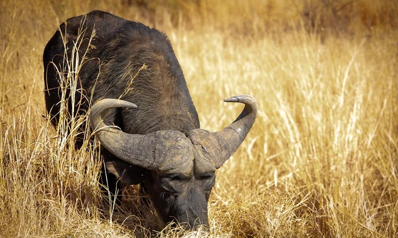 Amikor a férjem örült, hogy munkát találtam – aztán bérleti díjat és pelenkát követelt tőlem