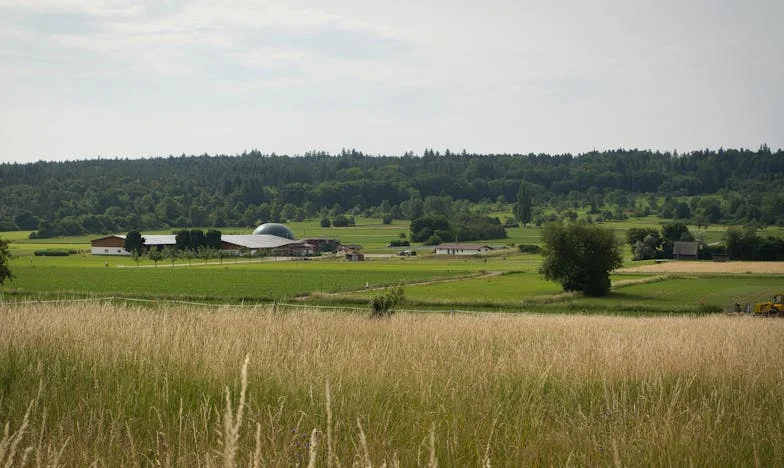 Anyám elvette a műtétemre szánt hitelt, és nyaralásra költötte – Mit tegyek most?
