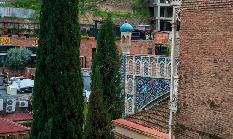 „Anyám hetvenéves lett, hazahoztam – de hamar rájöttem, hogy hibáztam”