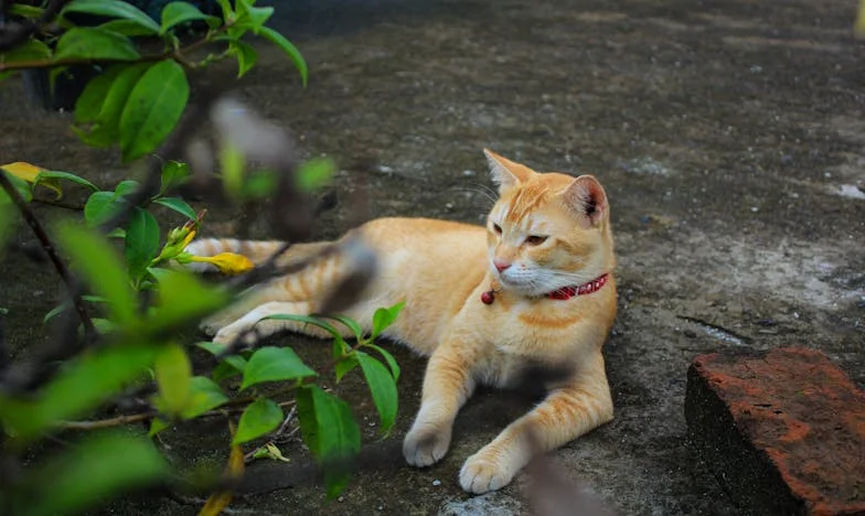 „Anyu, kérlek, vigyél haza!” – Egy családi döntés ára
