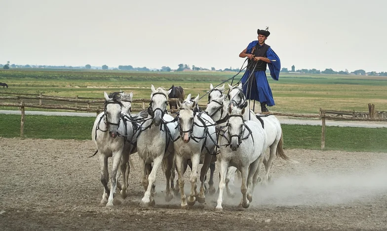 Az a nap, amikor a buszmegállóban minden megváltozott