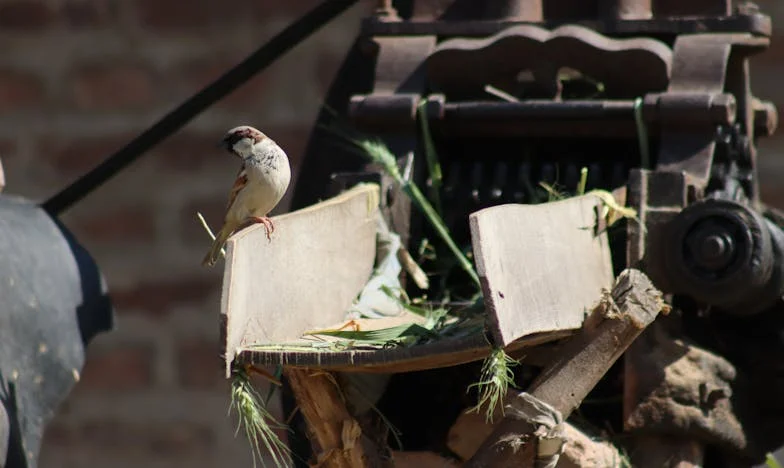 Az a nap, amikor Adrián hazatért – Egy titok, ami mindent szétszakított