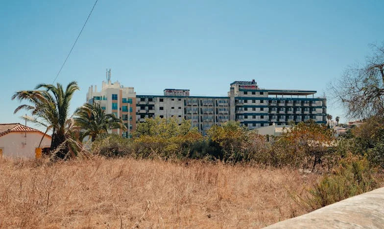 Az elhanyagoltság árnyai: Egy elveszett szerelem története