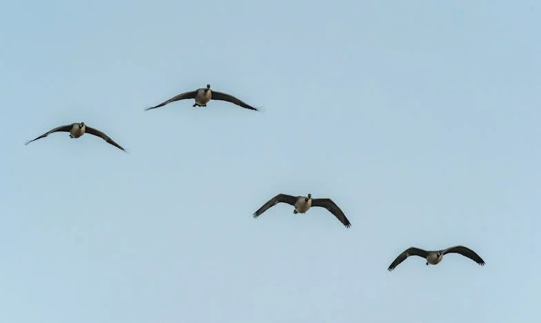 Az én hősöm – Egy anya titka a magyar valóságban