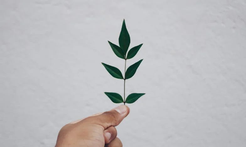 Az ígéret árnyékában: Egy apa és fia története a mai Magyarországon