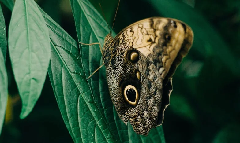Barátság a grillrácson: Egy nyári este, ami mindent megváltoztatott