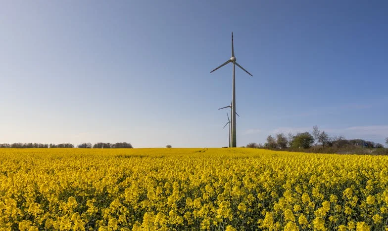 Egy fedél alatt: Anyósom halála után apóssal élni – harc a békéért