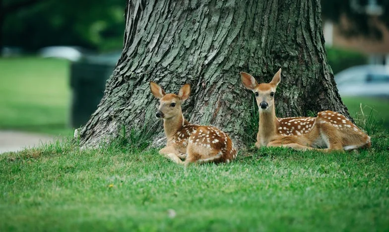 Egy véletlen találkozás tíz év után – Zoltán megbánása, amiért elveszítette Évát