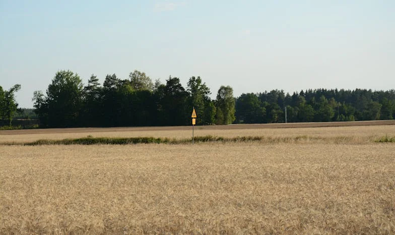 Egyedül az álmomért: Egy magyar anya küzdelme az anyaságért