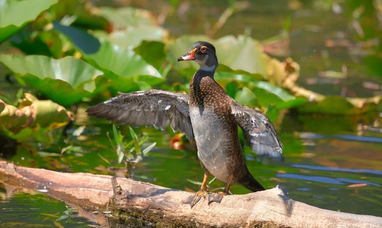 Egyetlen ebéd, ami mindent megváltoztatott – Az a bizonyos 900 ezer forintos borravaló
