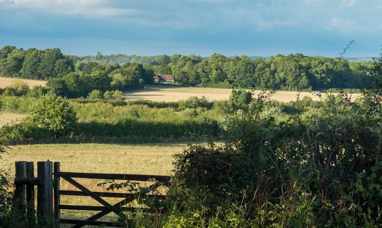 Élet a kimondatlan érzéssel – Egy magyar család titkai és harcai