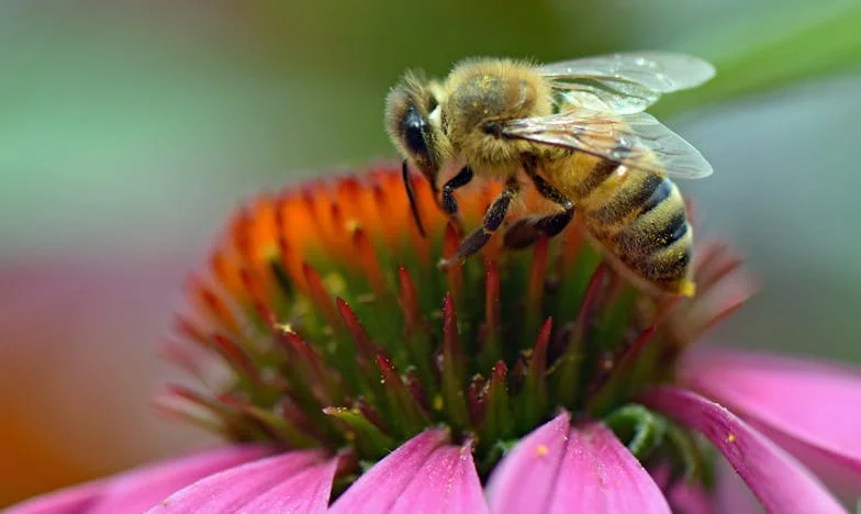 Eltűnt fiam árnyékában – Egy anya vallomása