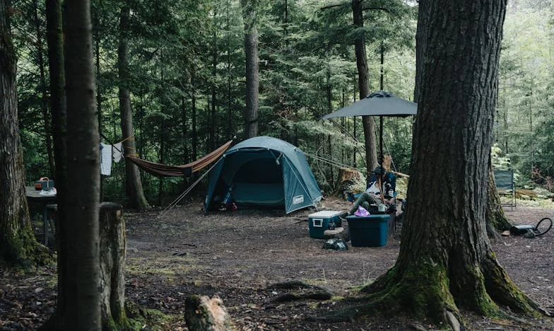 Évről évre egyre elviselhetetlenebb az anyósom és apósom – Meddig tűrjem még?