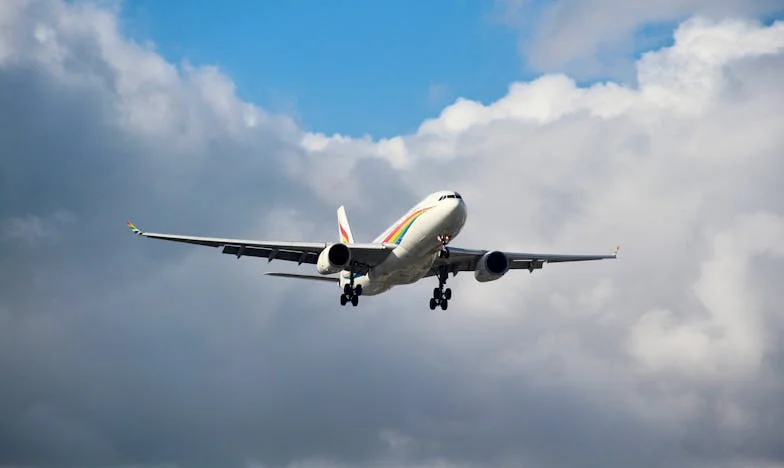 Hazatérés, amit nem vártam: Egy magyar katona története