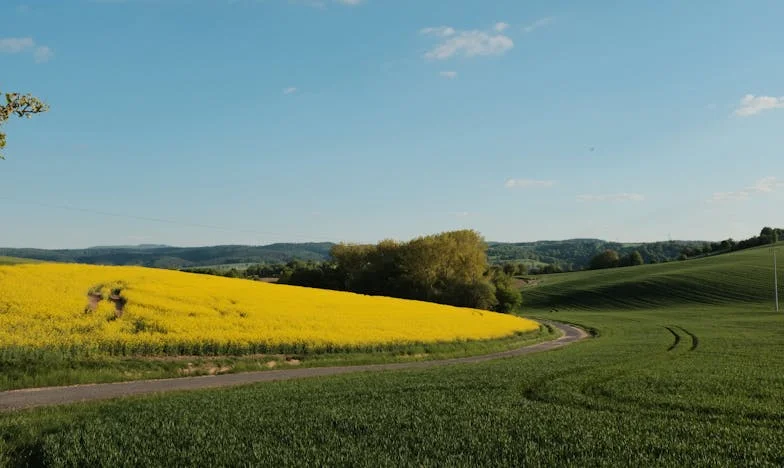 Hazatérés árnyékában: Egy testvér visszatérése és a családi vihar