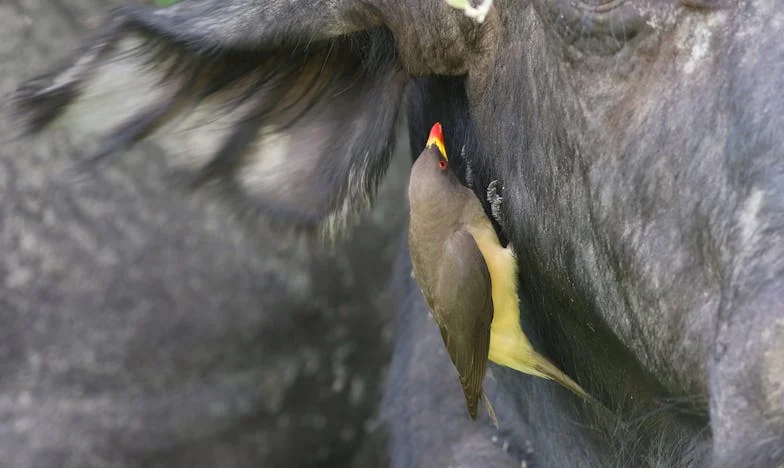 Híd a múltból: Hogyan találtunk vissza egymáshoz a fiammal